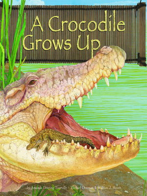 cover image of A Crocodile Grows Up